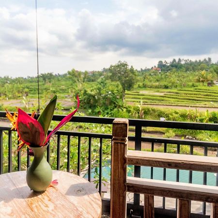 Alamgangga Villas Tirta Gangga Карангасем Экстерьер фото