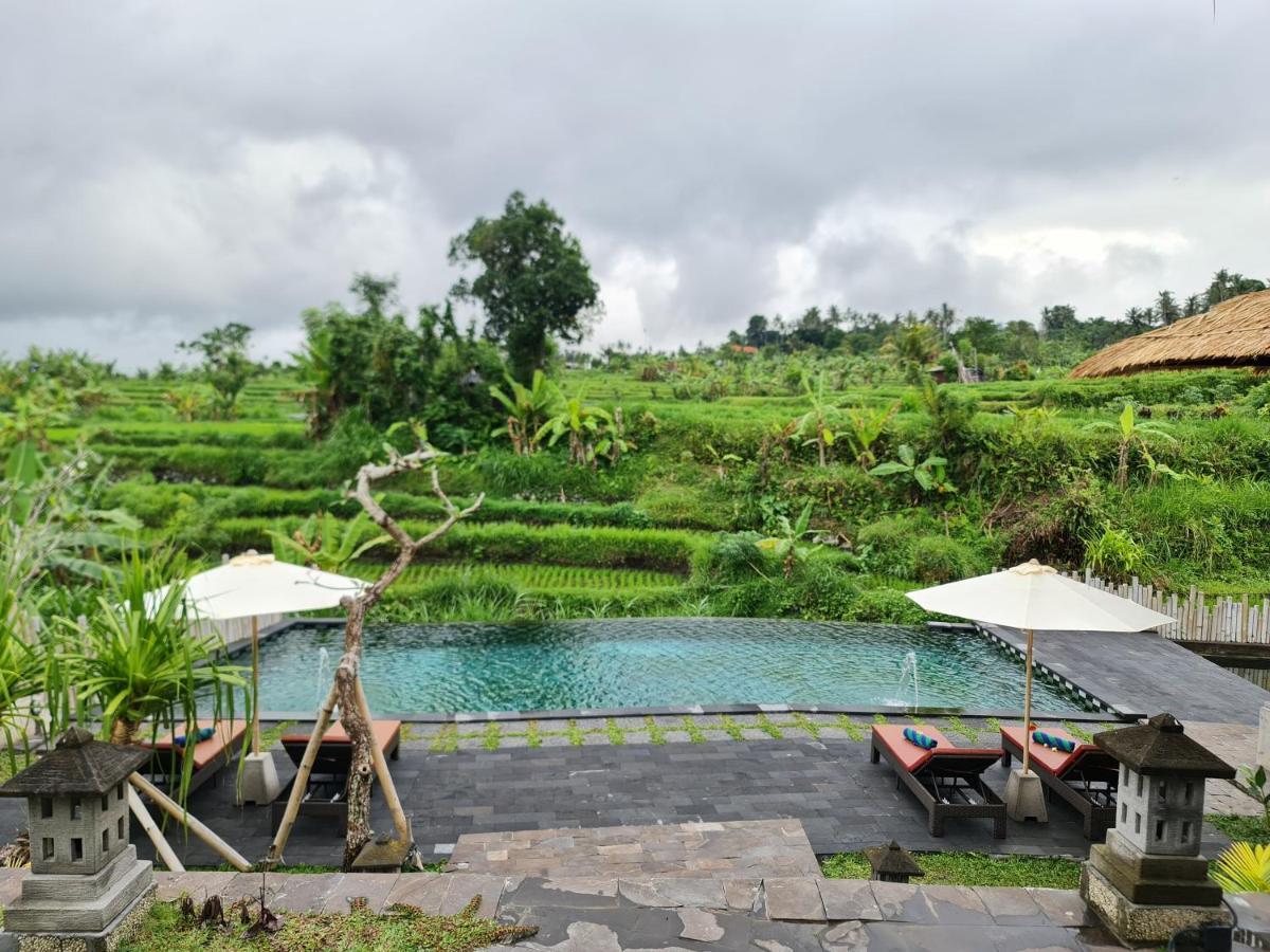 Alamgangga Villas Tirta Gangga Карангасем Экстерьер фото