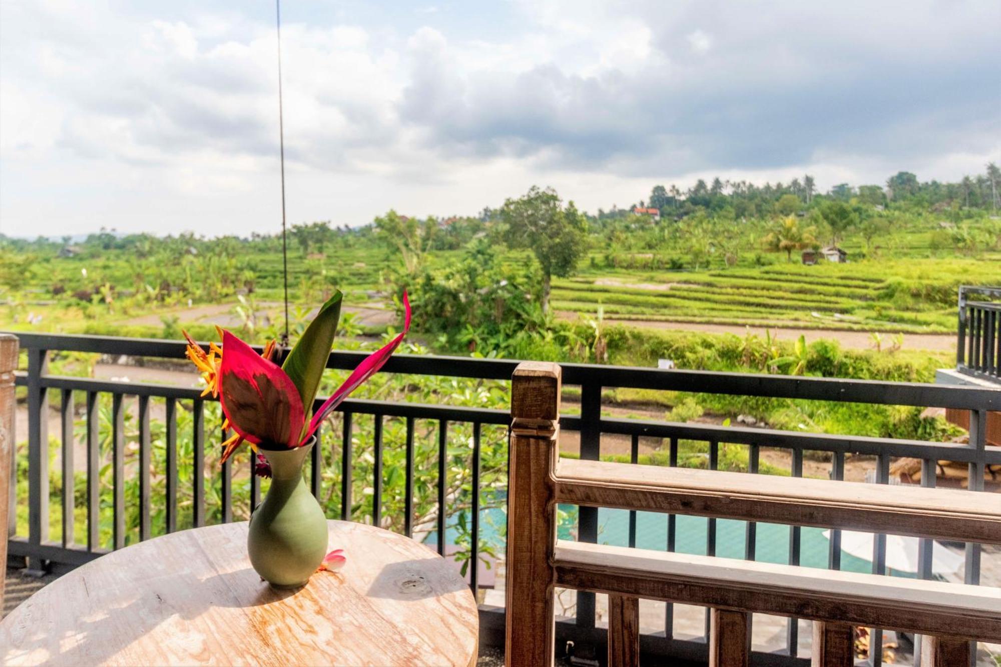 Alamgangga Villas Tirta Gangga Карангасем Экстерьер фото
